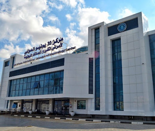 مركز 30 يونيو الدولي لأمراض الكلى والمسالك)