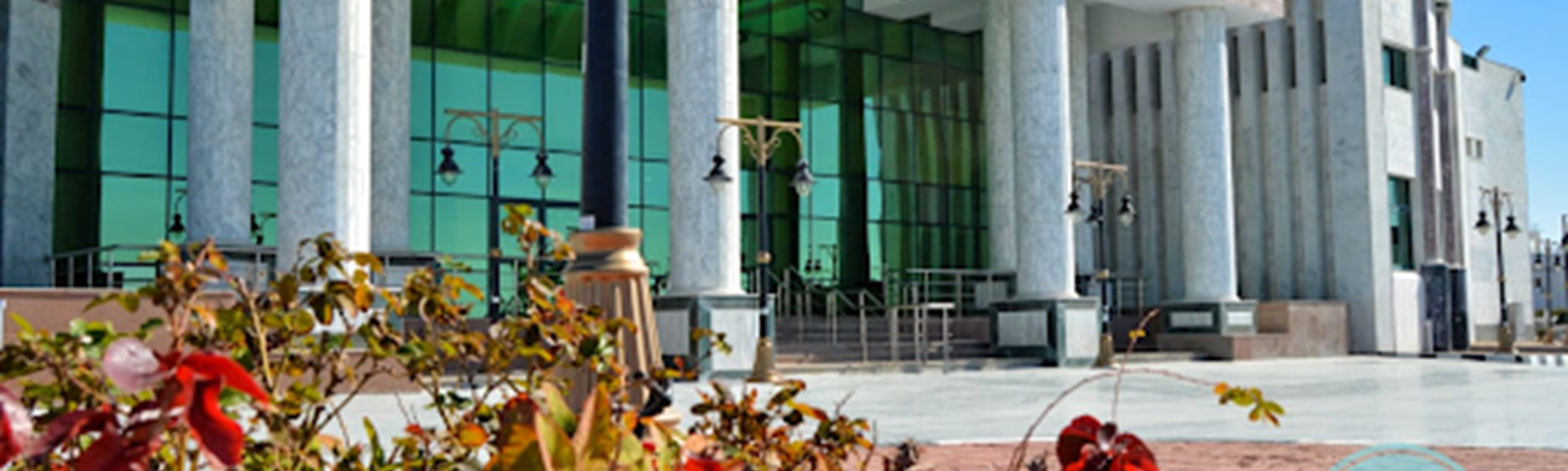 Ras Sedr Specialized Hospital